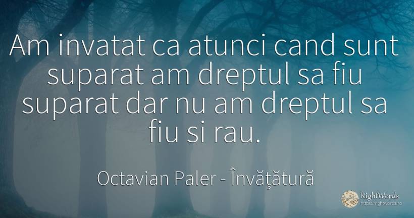 Am invatat ca atunci cand sunt suparat am dreptul sa fiu... - Octavian Paler, citat despre învățătură, rău