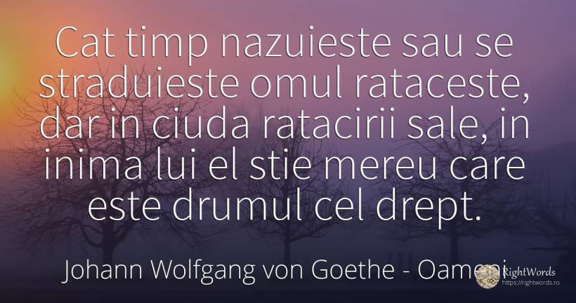 Cat timp nazuieste sau se straduieste omul rataceste, dar... - Johann Wolfgang von Goethe, citat despre oameni, inimă, timp