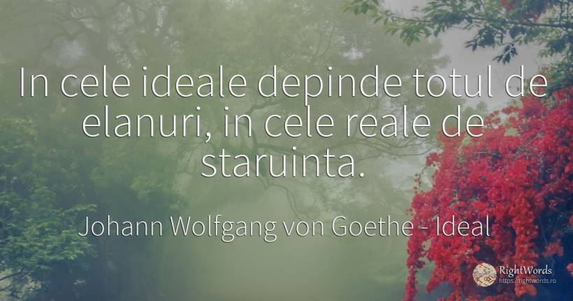 In cele ideale depinde totul de elanuri, in cele reale de... - Johann Wolfgang von Goethe, citat despre ideal