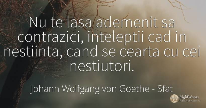 Nu te lasa ademenit sa contrazici, inteleptii cad in... - Johann Wolfgang von Goethe, citat despre sfat, înțelepciune, conflict