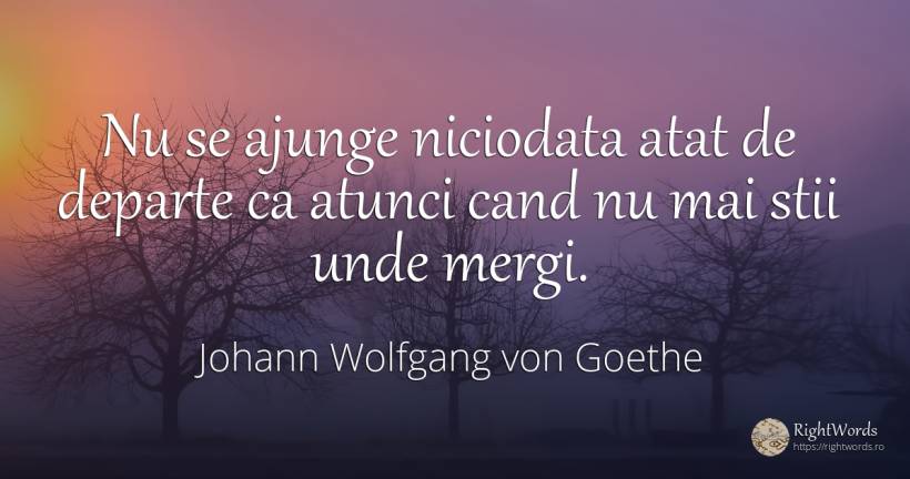 Nu se ajunge niciodata atat de departe ca atunci cand nu... - Johann Wolfgang von Goethe