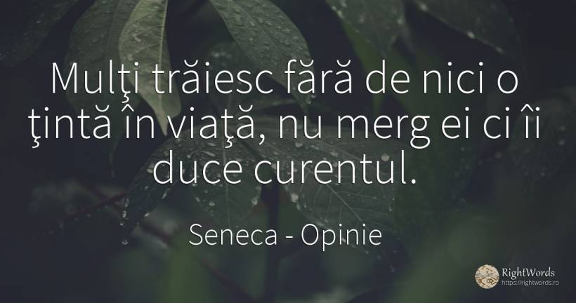 Mulţi trăiesc fără de nici o ţintă în viaţă, nu merg ei... - Seneca (Seneca The Younger), citat despre opinie, viață