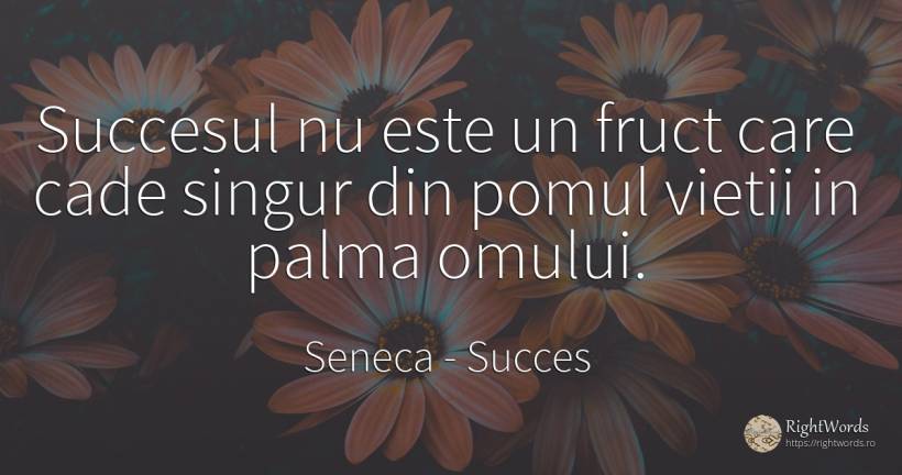 Succesul nu este un fruct care cade singur din pomul... - Seneca (Seneca The Younger), citat despre succes, singurătate, viață