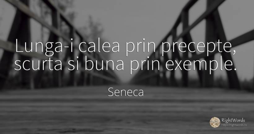 Lunga-i calea prin precepte, scurta si buna prin exemple. - Seneca (Seneca The Younger)