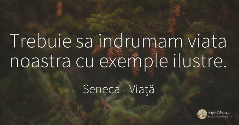 Trebuie sa indrumam viata noastra cu exemple ilustre. - Seneca (Seneca The Younger), citat despre viață