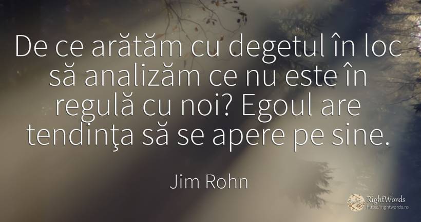 De ce arătăm cu degetul în loc să analizăm ce nu este în... - Jim Rohn