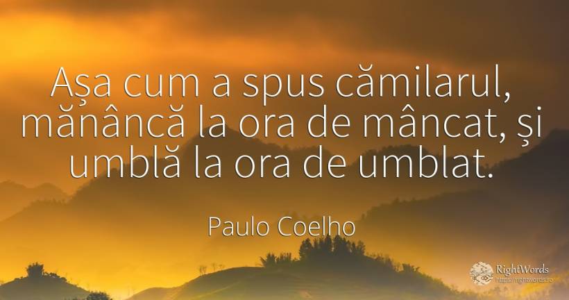 Așa cum a spus cămilarul, mănâncă la ora de mâncat, și... - Paulo Coelho
