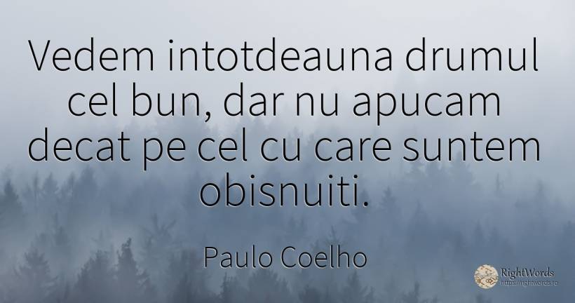 Vedem intotdeauna drumul cel bun, dar nu apucam decat pe... - Paulo Coelho