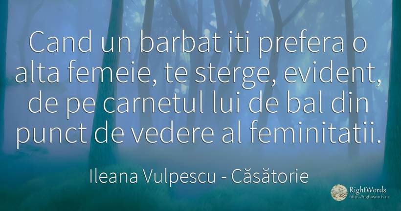 Cand un barbat iti prefera o alta femeie, te sterge, ... - Ileana Vulpescu, citat despre căsătorie, bărbat, femeie, artă, artă fotografică