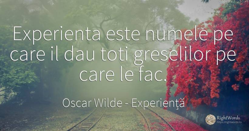 Experienta este numele pe care il dau toti greselilor pe... - Oscar Wilde, citat despre experiență, nume