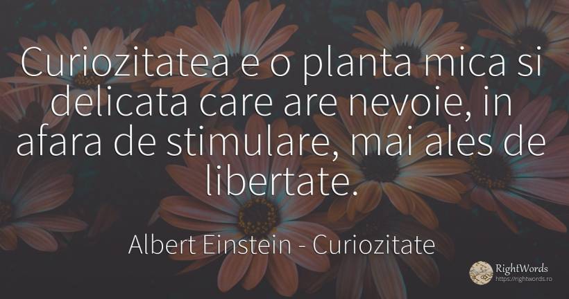 Curiozitatea e o planta mica si delicata care are nevoie, ... - Albert Einstein, citat despre curiozitate, libertate, nevoie