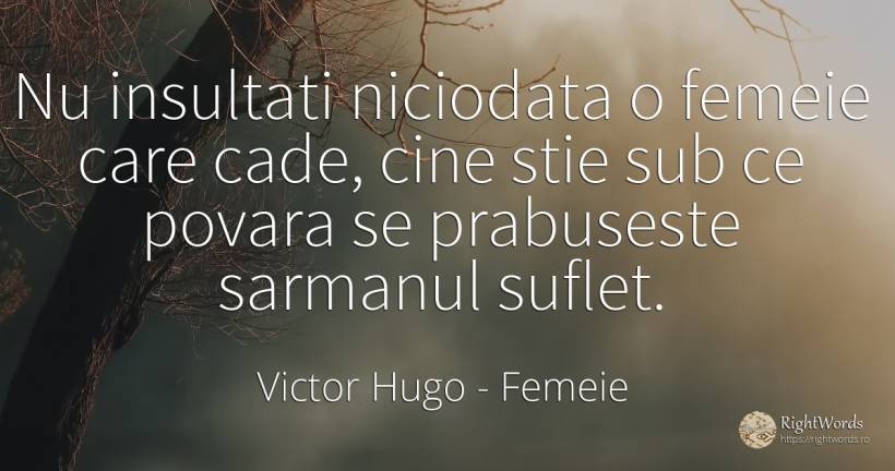 Nu insultati niciodata o femeie care cade, cine stie sub... - Victor Hugo, citat despre femeie, insultă, povară, suflet