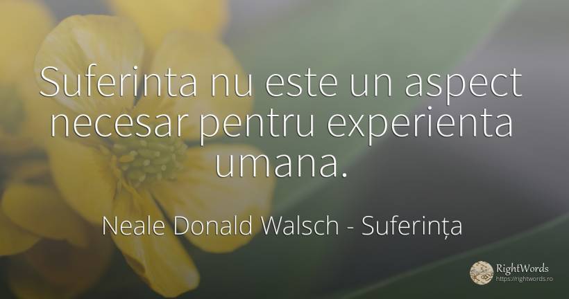 Suferinta nu este un aspect necesar pentru experienta umana. - Neale Donald Walsch, citat despre suferință, necesitate, experiență