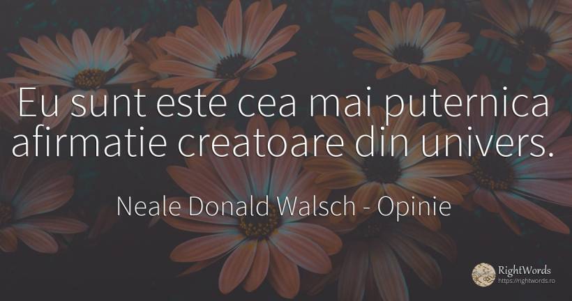 Eu sunt este cea mai puternica afirmatie creatoare din... - Neale Donald Walsch, citat despre opinie, univers, conversație, dumnezeu