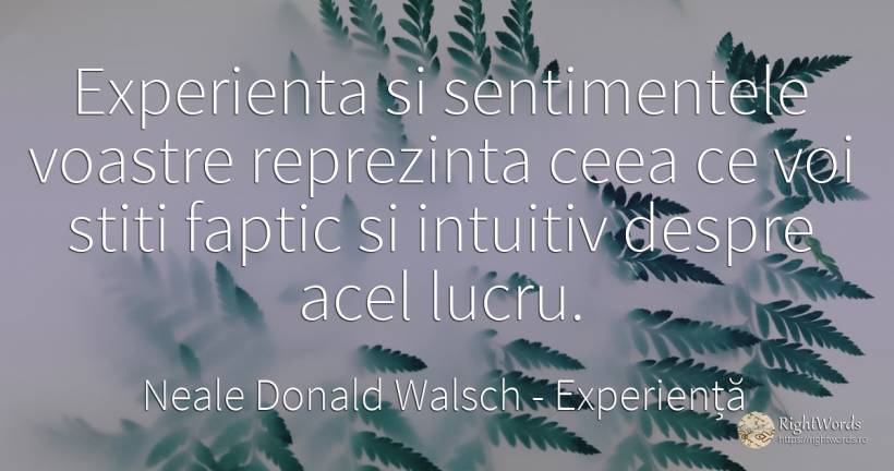 Experienta si sentimentele voastre reprezinta ceea ce voi... - Neale Donald Walsch, citat despre experiență, sentimente, conversație, dumnezeu