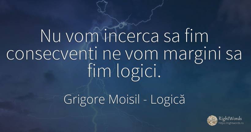 Nu vom incerca sa fim consecventi ne vom margini sa fim... - Grigore Moisil, citat despre logică, cugetare