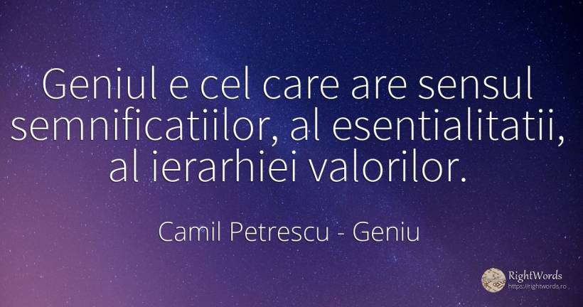 Geniul e cel care are sensul semnificatiilor, al... - Camil Petrescu, citat despre geniu, sens