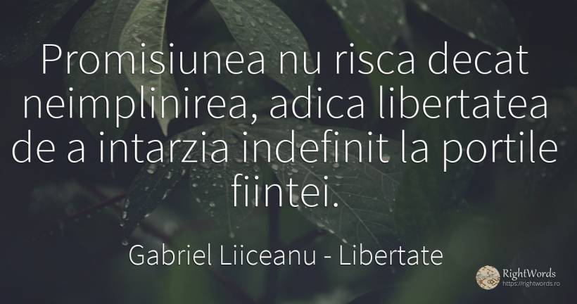 Promisiunea nu risca decat neimplinirea, adica libertatea... - Gabriel Liiceanu, citat despre libertate, promisiune, risc, iubire