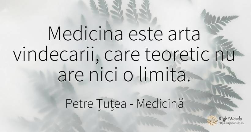 Medicina este arta vindecarii, care teoretic nu are nici... - Petre Țuțea (Socrate al românilor), citat despre medicină, limite, artă, artă fotografică