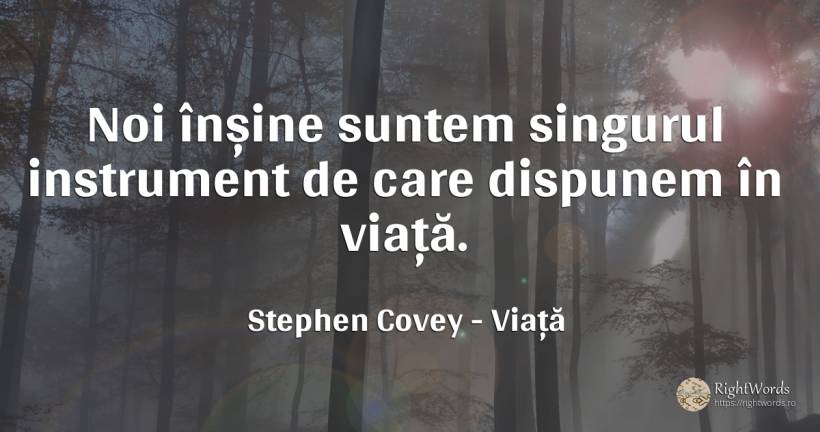 Noi înșine suntem singurul instrument de care dispunem în... - Stephen Covey, citat despre viață