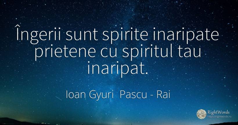 Îngerii sunt spirite inaripate prietene cu spiritul tau... - Ioan Gyuri Pascu, citat despre rai, căutare, spirit