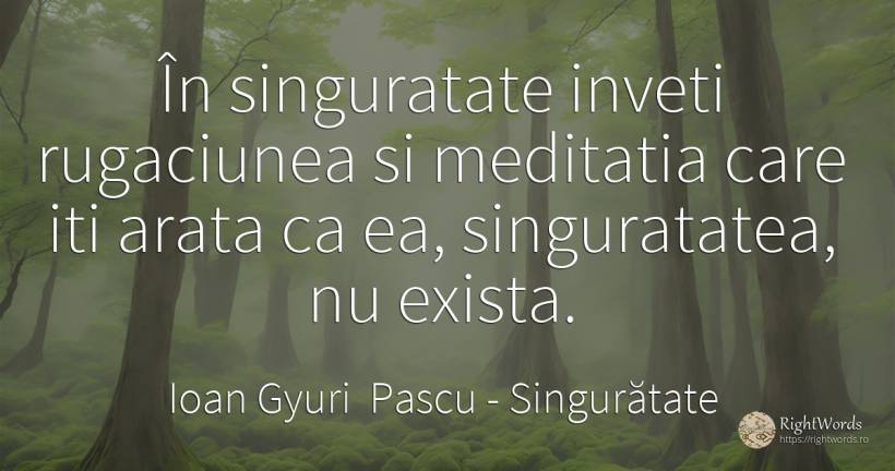 În singuratate inveti rugaciunea si meditatia care iti... - Ioan Gyuri Pascu, citat despre singurătate, meditație, rugăciune, căutare