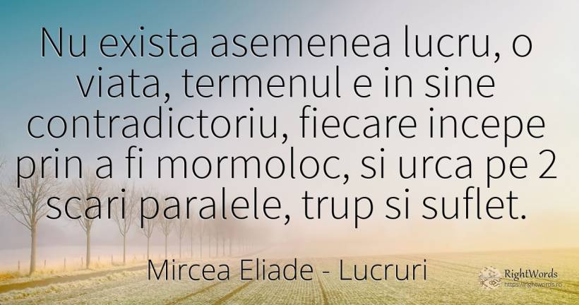 Nu exista asemenea lucru, o viata, termenul e in sine... - Mircea Eliade, citat despre lucruri, rai, suflet, viață