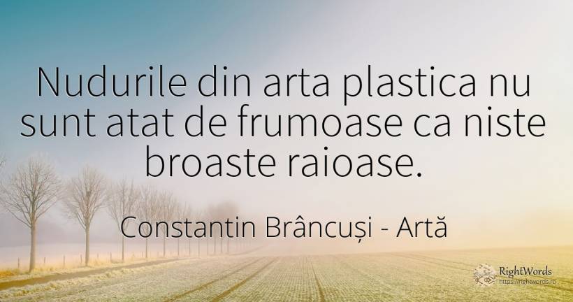 Nudurile din arta plastica nu sunt atat de frumoase ca... - Constantin Brâncuși, citat despre artă, frumusețe, artă fotografică