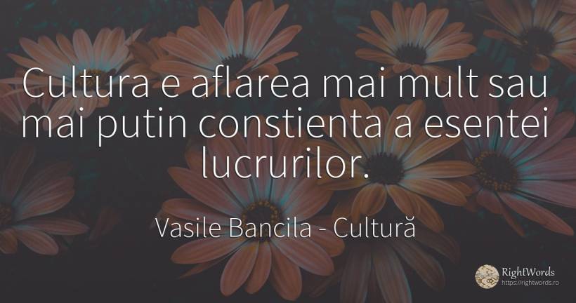 Cultura e aflarea mai mult sau mai putin constienta a... - Vasile Bancila, citat despre cultură, filozofie
