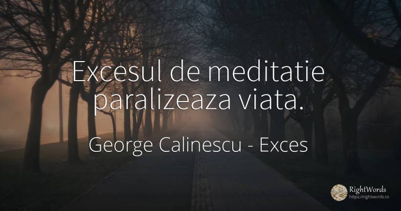 Excesul de meditatie paralizeaza viata. - George Calinescu, citat despre exces, meditație, viață