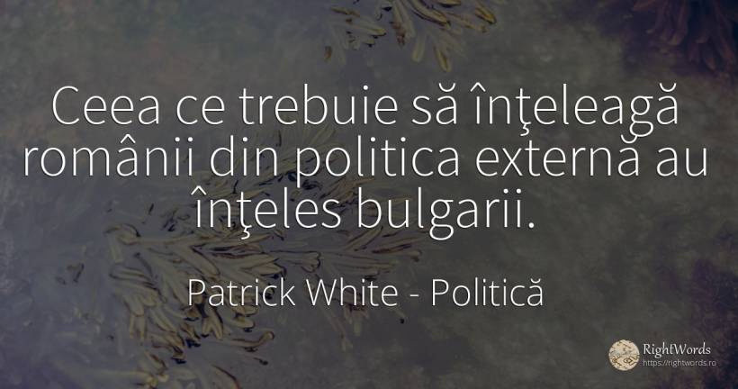 Ceea ce trebuie să înţeleagă românii din politica externă... - Patrick White (Victor Martin), citat despre politică