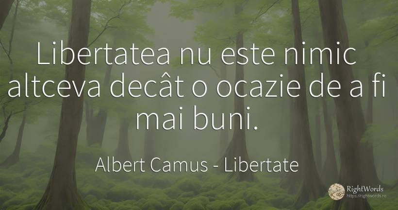 Libertatea nu este nimic altceva decât o ocazie de a fi... - Albert Camus, citat despre libertate, nimic