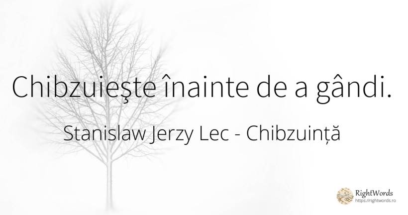 Chibzuieşte înainte de a gândi. - Stanislaw Jerzy Lec, citat despre chibzuință