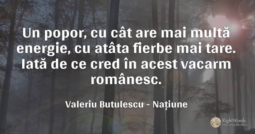 Un popor, cu cât are mai multă energie, cu atâta fierbe... - Valeriu Butulescu, citat despre națiune