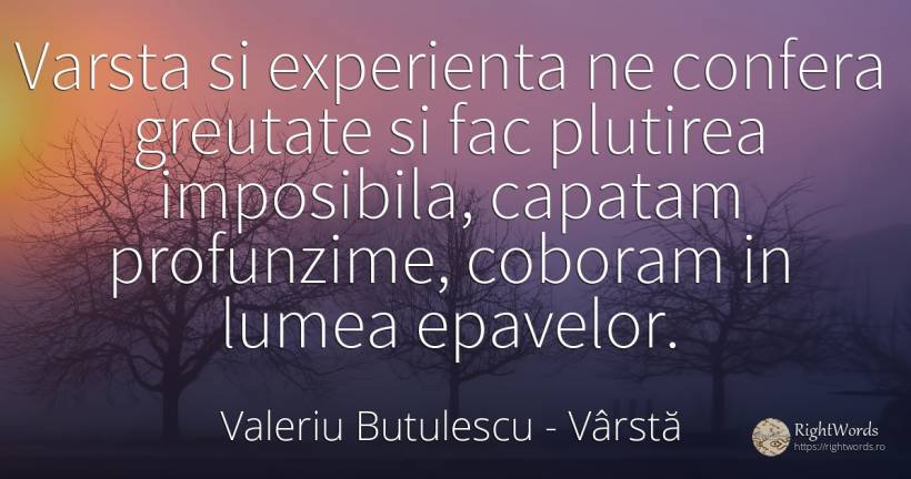 Varsta si experienta ne confera greutate si fac plutirea... - Valeriu Butulescu, citat despre vârstă, experiență, lume