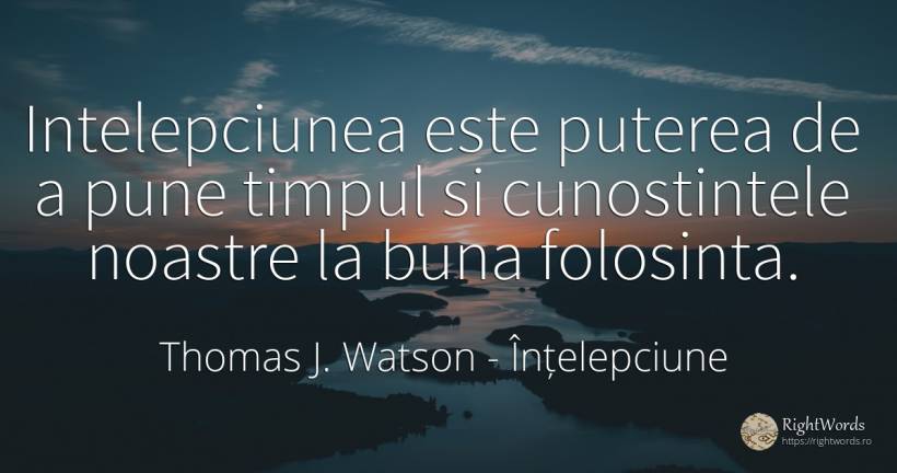 Intelepciunea este puterea de a pune timpul si... - Thomas J. Watson, citat despre înțelepciune, utilizare, putere, timp