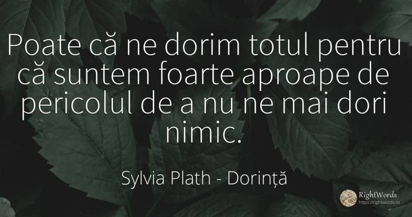 Poate că ne dorim totul pentru că suntem foarte aproape... - Sylvia Plath, citat despre dorință, pericol, nimic