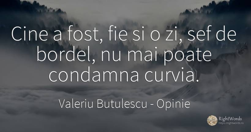 Cine a fost, fie si o zi, sef de bordel, nu mai poate... - Valeriu Butulescu, citat despre opinie, șefi