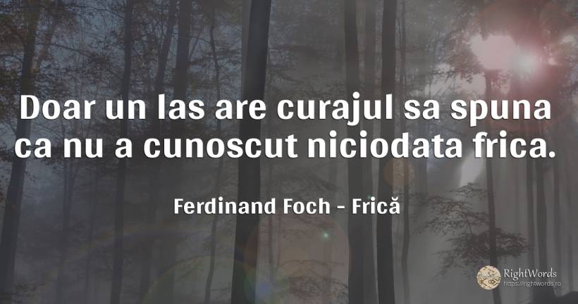 Doar un las are curajul sa spuna ca nu a cunoscut... - Ferdinand Foch, citat despre frică, lașitate, curaj