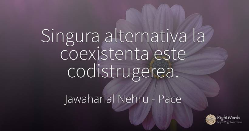 Singura alternativa la coexistenta este codistrugerea. - Jawaharlal Nehru, citat despre pace