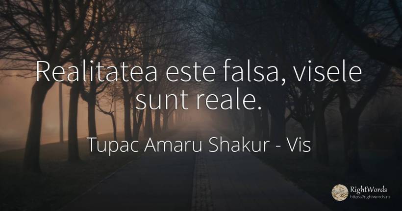 Realitatea este falsa, visele sunt reale. - Tupac Amaru Shakur, citat despre vis, realitate
