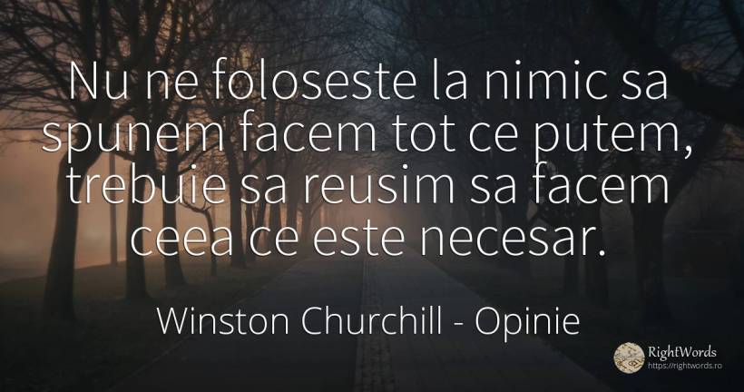 Nu ne foloseste la nimic sa spunem facem tot ce putem, ... - Winston Churchill, citat despre opinie, necesitate, nimic