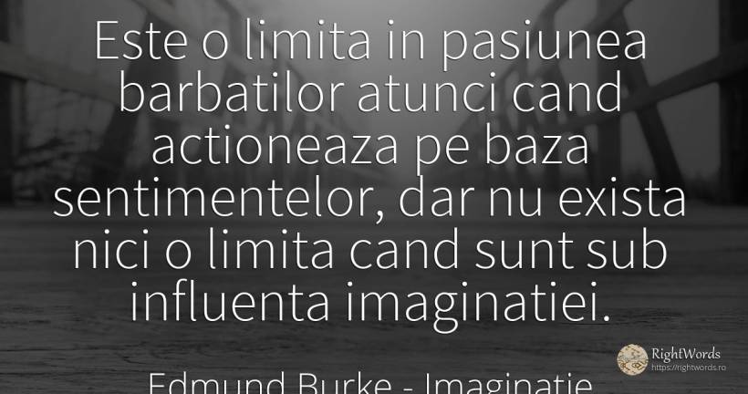 Este o limita in pasiunea barbatilor atunci cand... - Edmund Burke, citat despre imaginație, limite, influență, pasiune