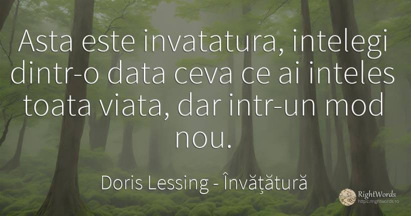 Asta este invatatura, intelegi dintr-o data ceva ce ai... - Doris Lessing, citat despre învățătură, viață