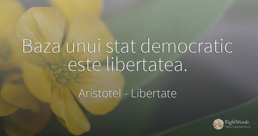 Baza unui stat democratic este libertatea. - Aristotel, citat despre libertate, stat