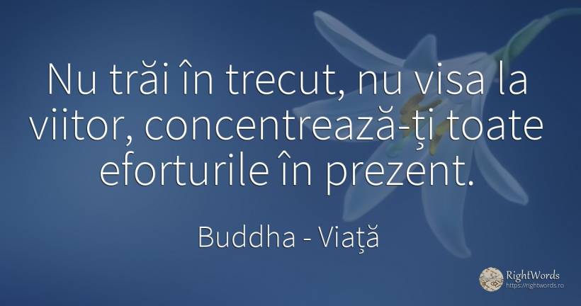 Nu trăi în trecut, nu visa la viitor, concentrează-ți... - Buddha (Gautama Siddhartha), citat despre viață, vis, prezent, viitor, trecut