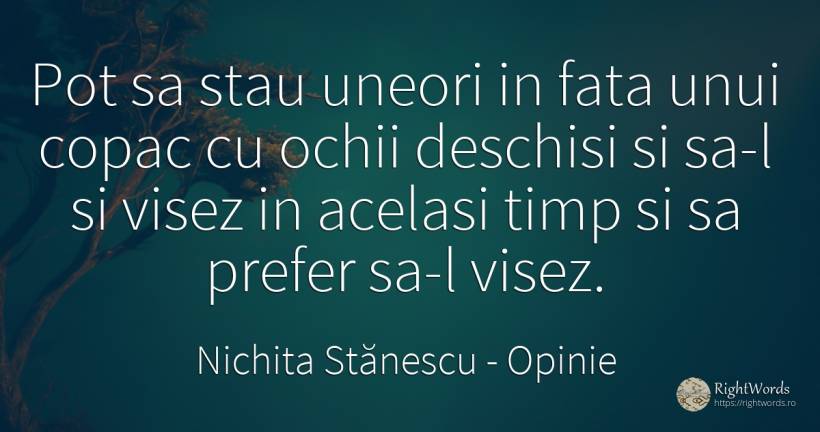 Pot sa stau uneori in fata unui copac cu ochii deschisi... - Nichita Stănescu, citat despre opinie, ochi, timp, față