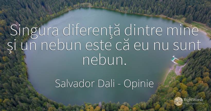 Singura diferență dintre mine și un nebun este că eu nu... - Salvador Dali, citat despre opinie, nebunie