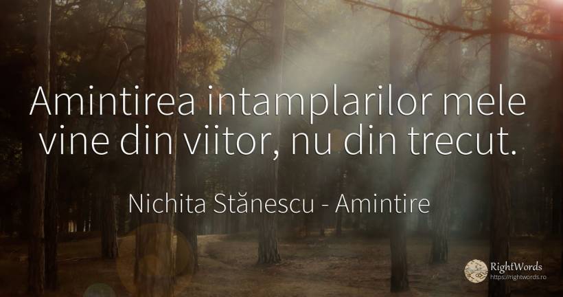 Amintirea intamplarilor mele vine din viitor, nu din trecut. - Nichita Stănescu, citat despre amintire, viitor, trecut