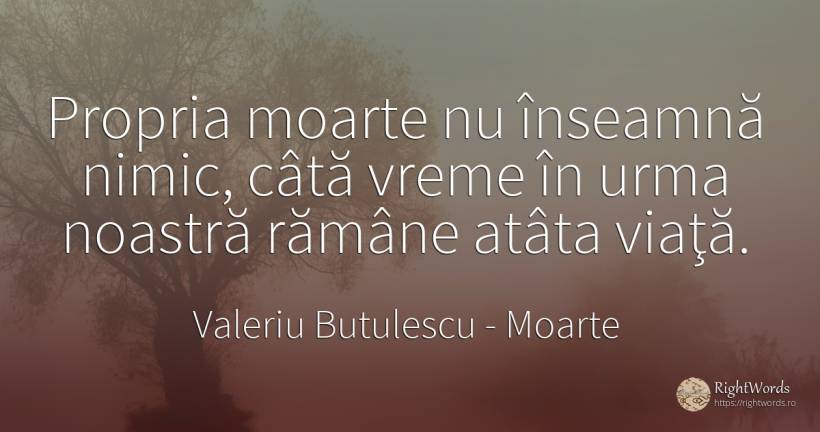 Propria moarte nu înseamnă nimic, câtă vreme în urma... - Valeriu Butulescu, citat despre moarte, vreme, nimic, viață